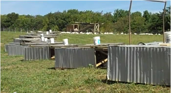 Polyface Farm - Pastured Poultry - Part 4