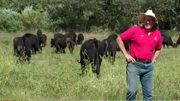 Polyface Farm - Salad Bar Beef - Part 1