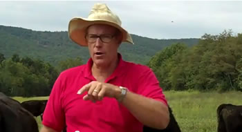 Polyface Farm - Salad Bar Beef - Part 6