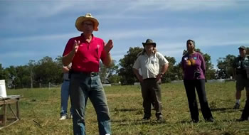 Salatin - Vaccination & Artificial Insemination