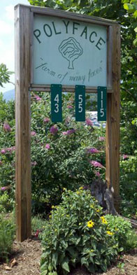 Polyface Farms