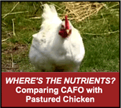 Healthy Chickens: Where's the Nutrients?