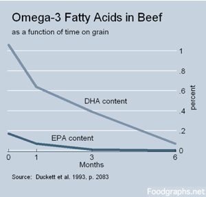 Beef-fattyacids-fgn