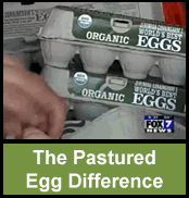 The Pastured Egg Difference Video
