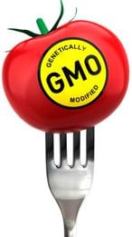 GMOs: Beware Genetically Engineered Foods, Crops, Seeds & Organisms