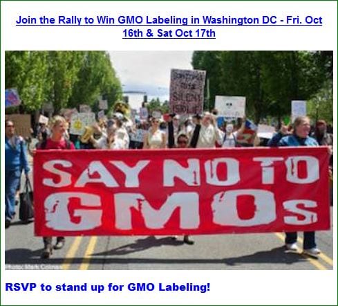 GMO-Rally