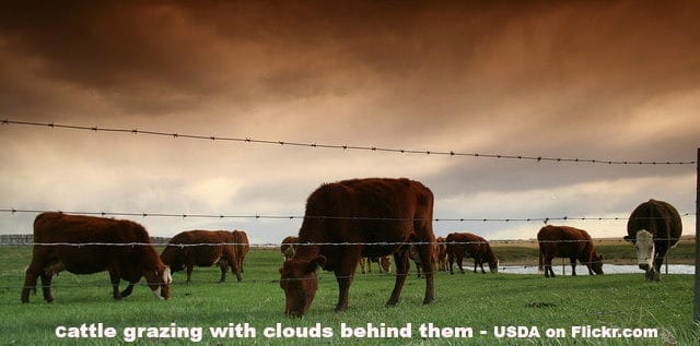 Flickr-USDA-grazing-clouds-640x317-caption