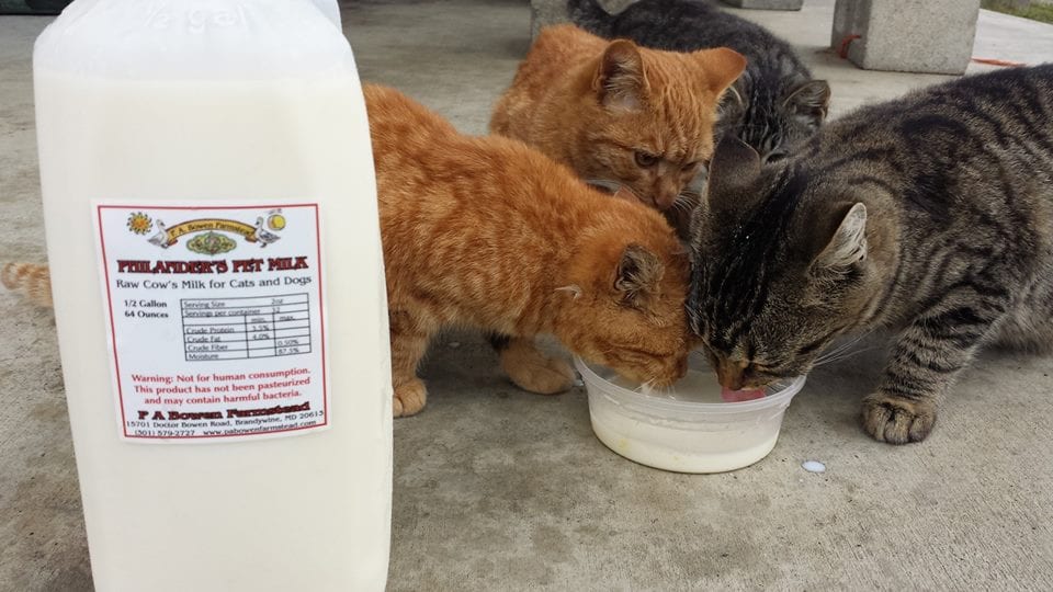 pabowenfarmsteadpetmilk