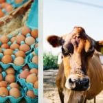 TAKE ACTION: Farm Bill Update