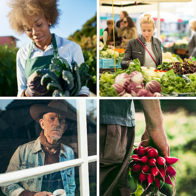 Farmer & Gardener Collage Square