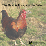 The Devil is Always in the Details: A Member’s Question