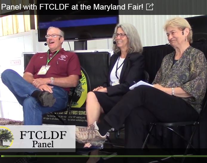 FTCLDF Panel at MENF