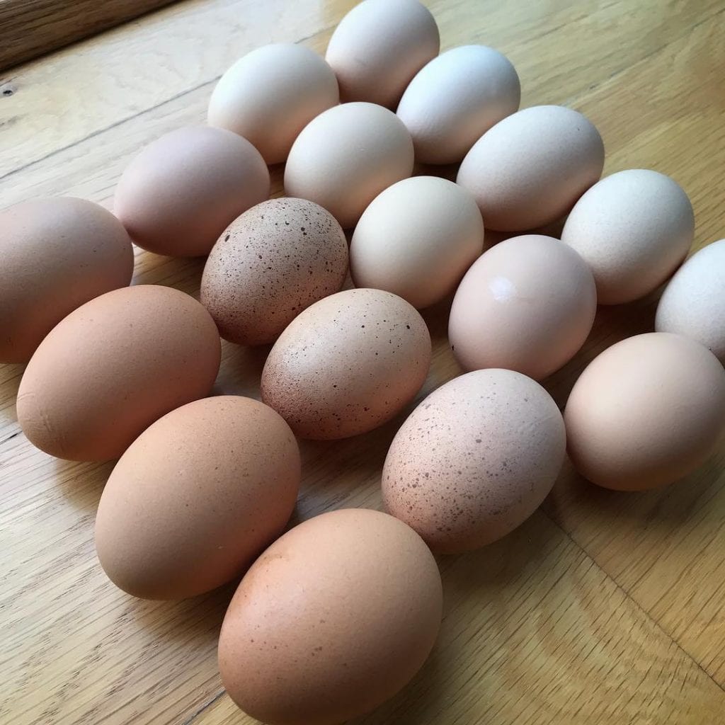 Yellow Hutch Farm egg rainbow