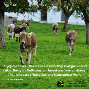 An FTCLDF member describes her love for her cows 
