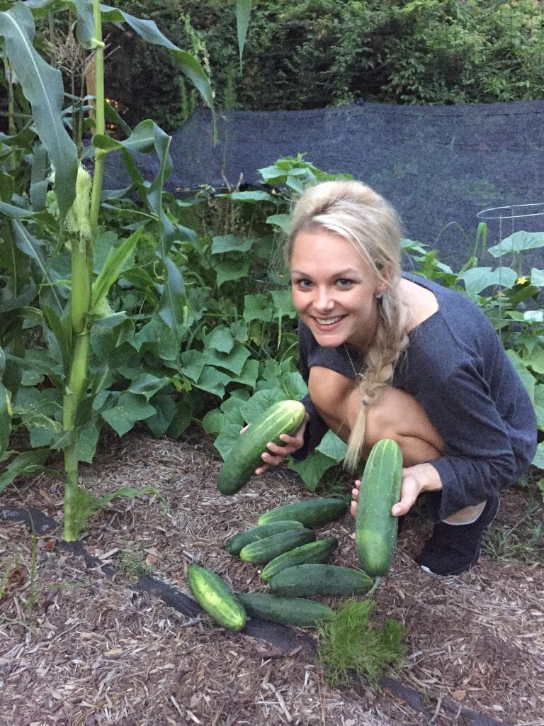 Vital Mission farmer and cucumbers