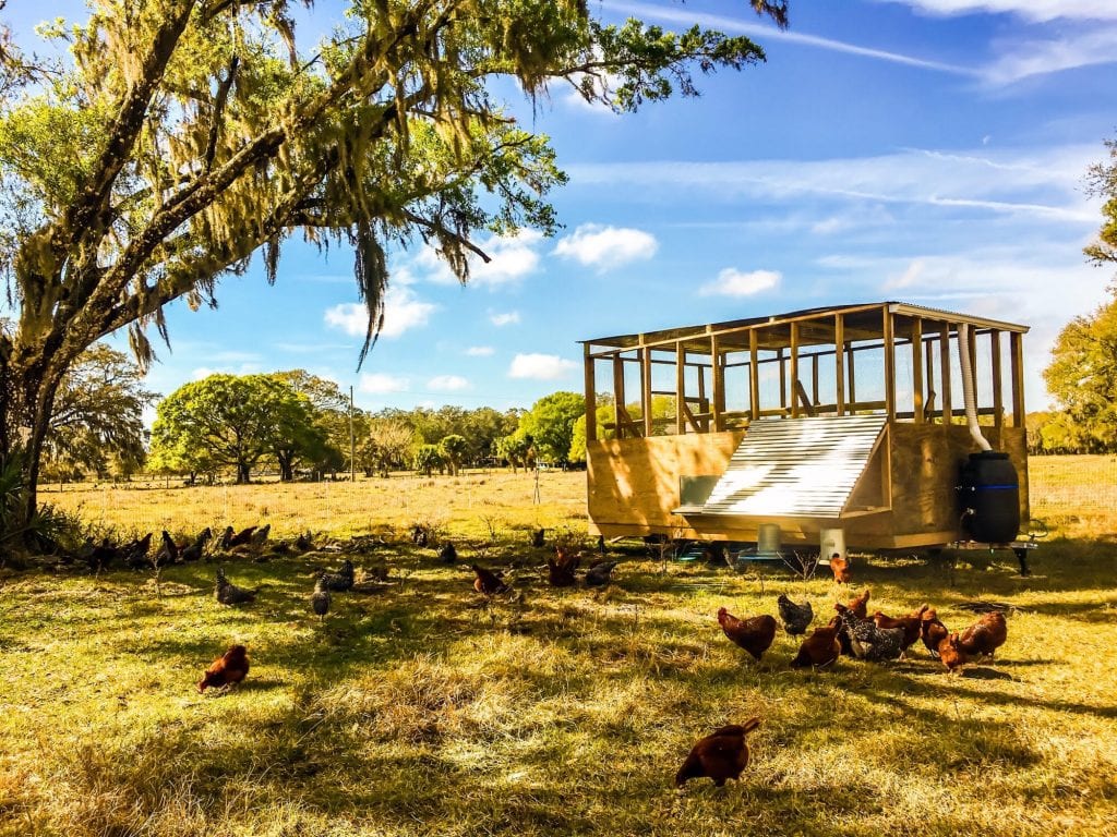 Hamblin Hills Farm