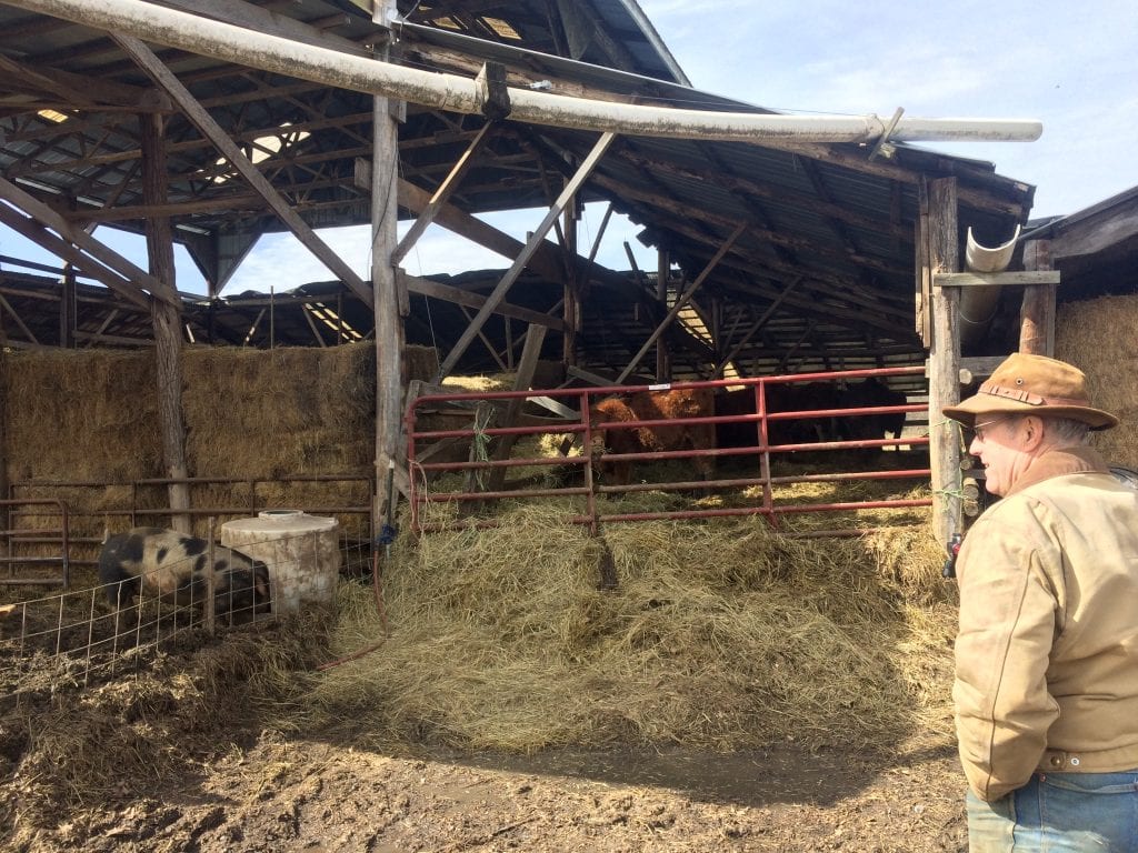 Joel Salatin standing into front of animal pens 