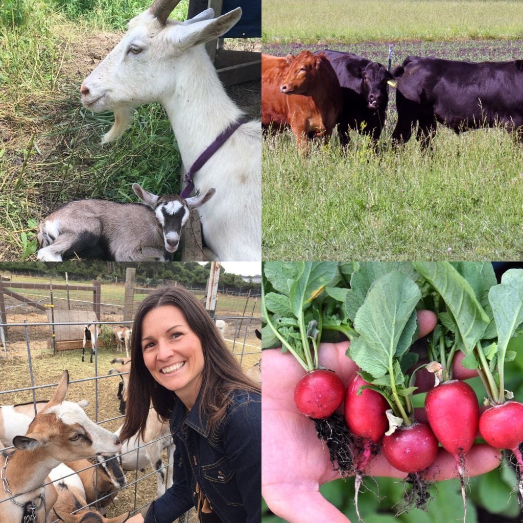 Collage of member photos