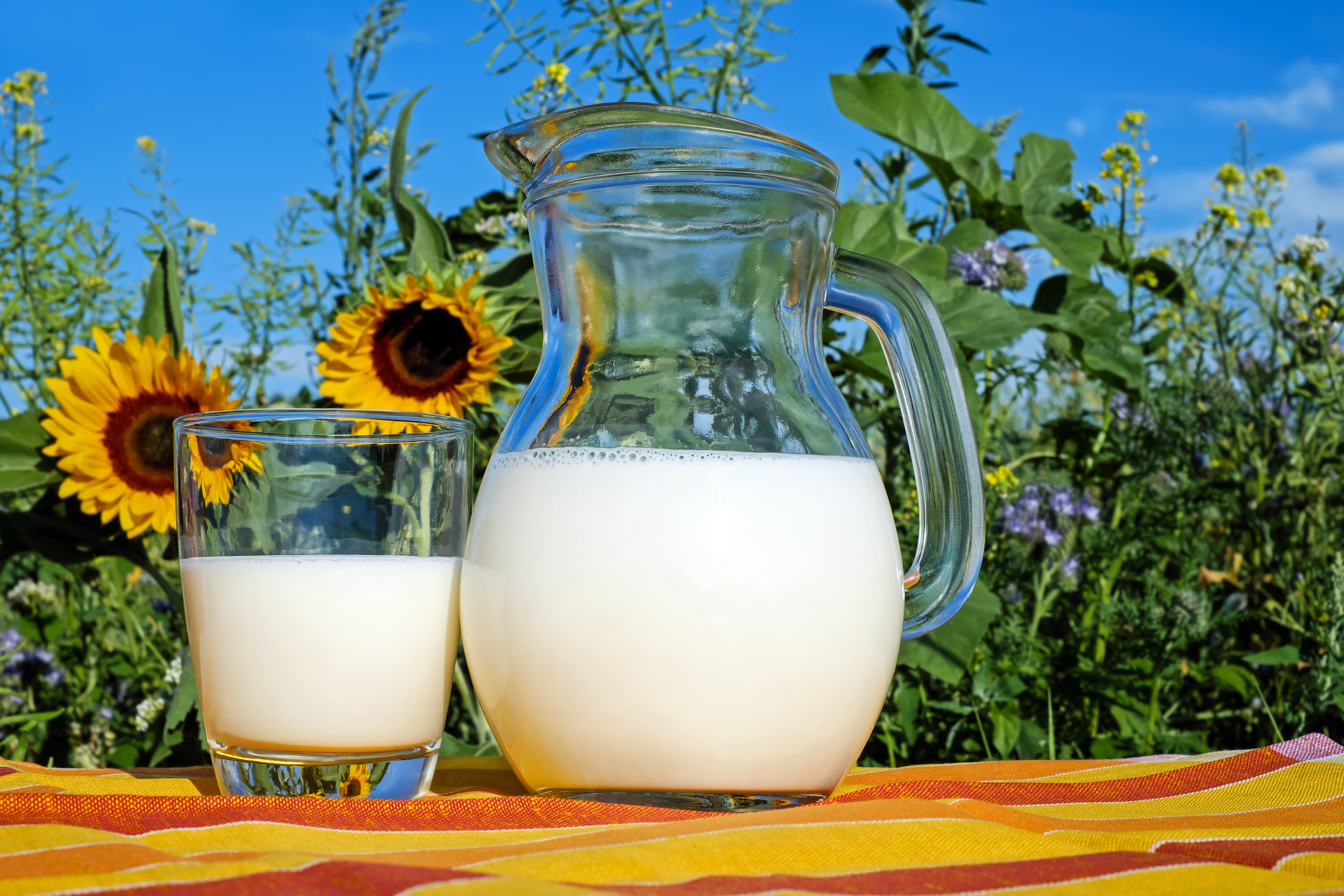 Kansas Raw Milk