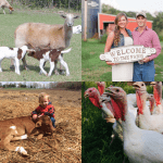 November Member Photo Monday Collage