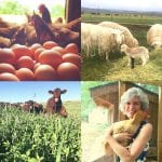 January Member Photo Monday Collage