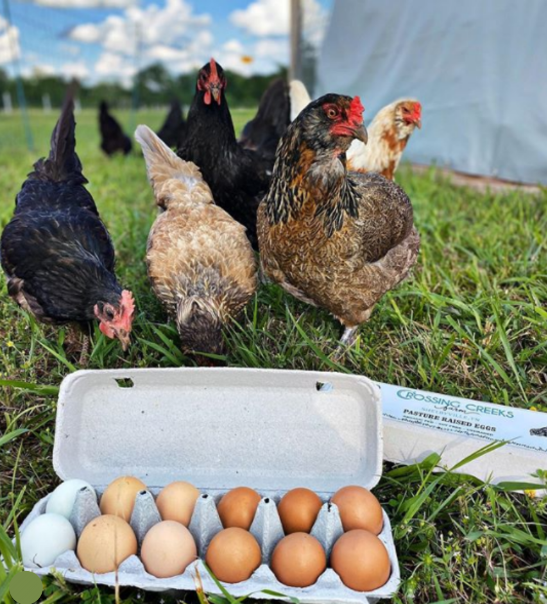 Crossing Creek Farm Hens