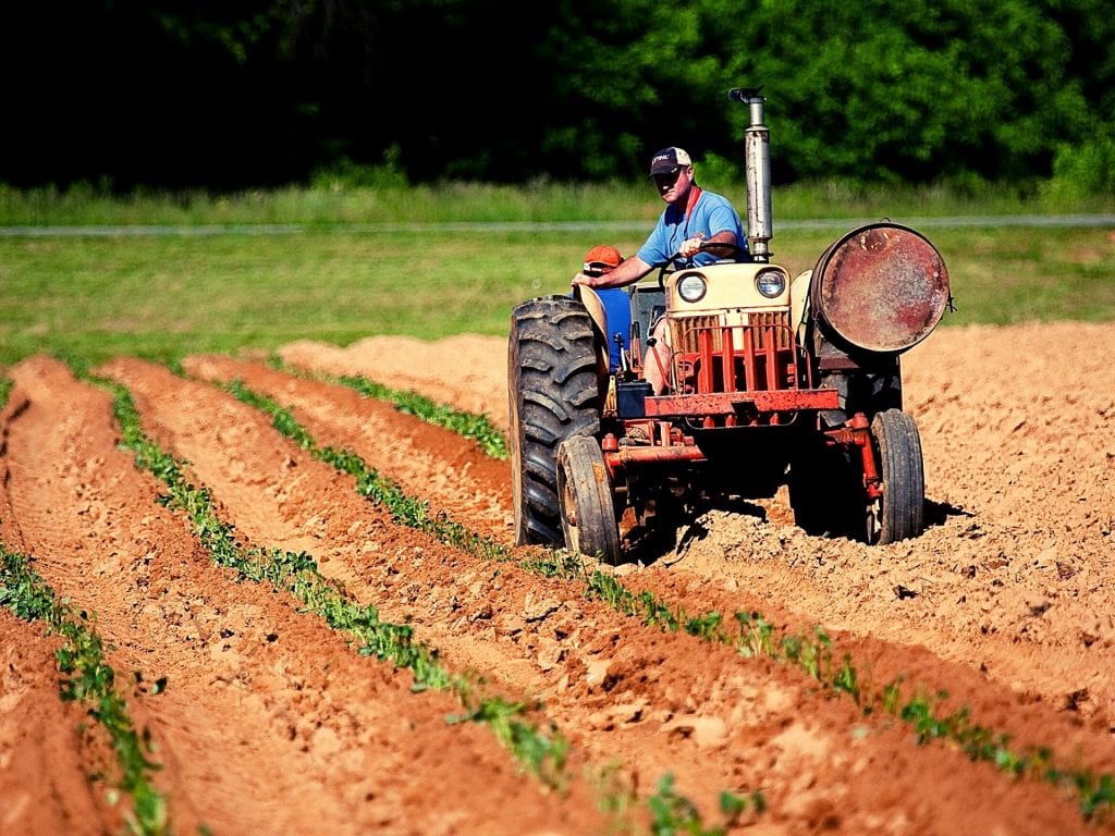 Farmer on Small Tractor