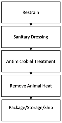 Slaughter Analysis Chart