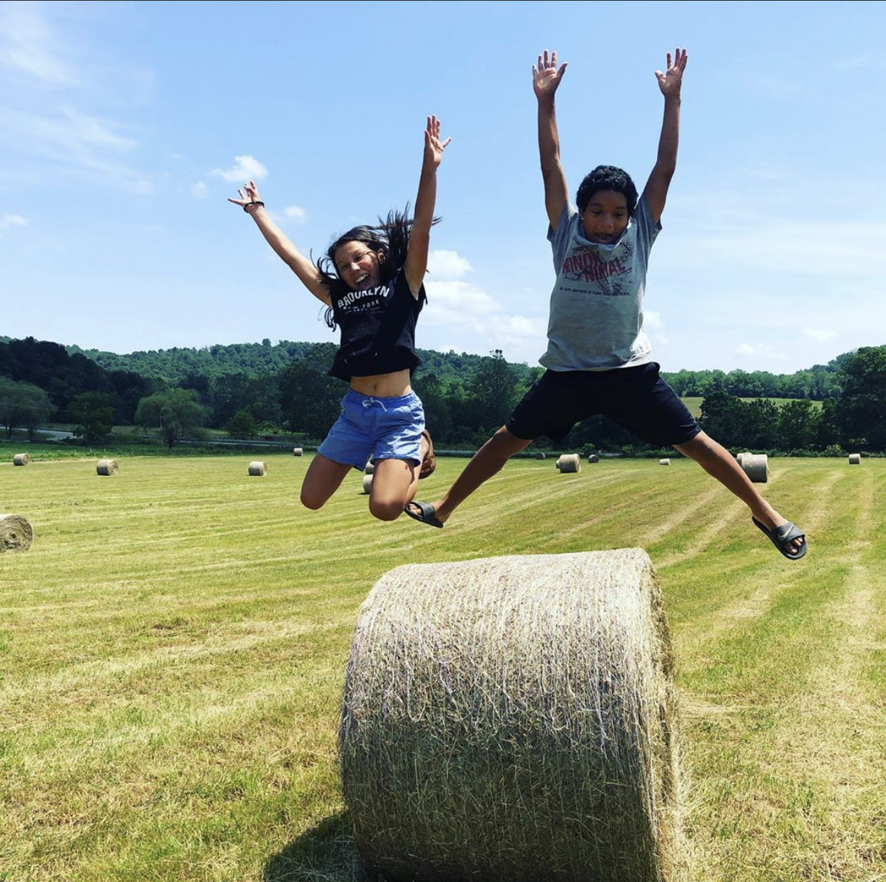 My Shepherds Farm Kids and Haybales