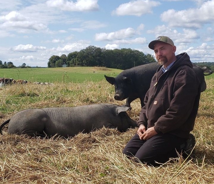 How We Regenerate Soils with Pigs