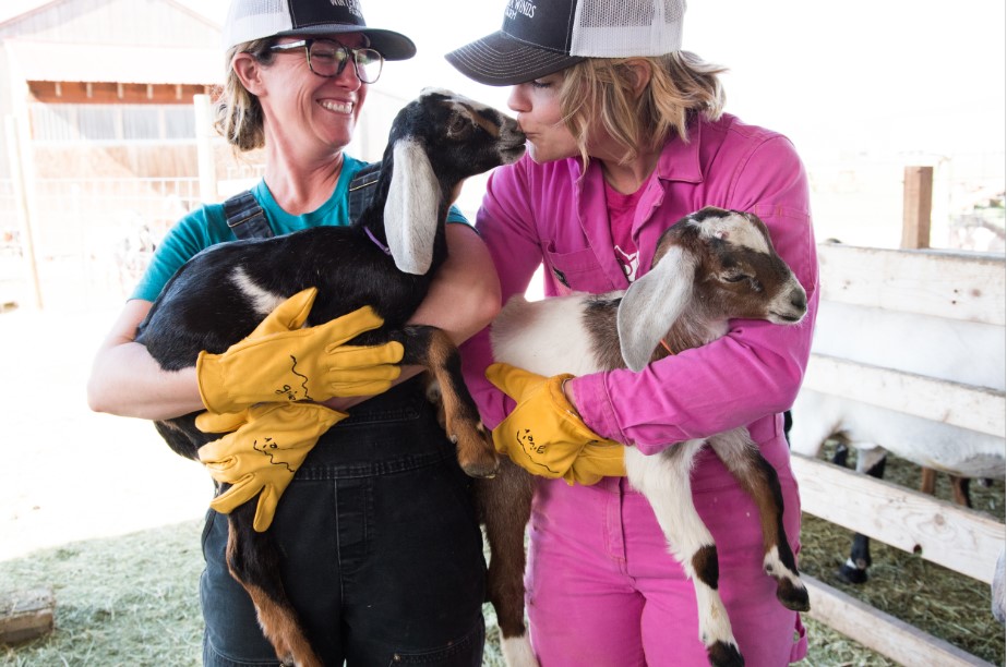 Winter Winds Farm Goats