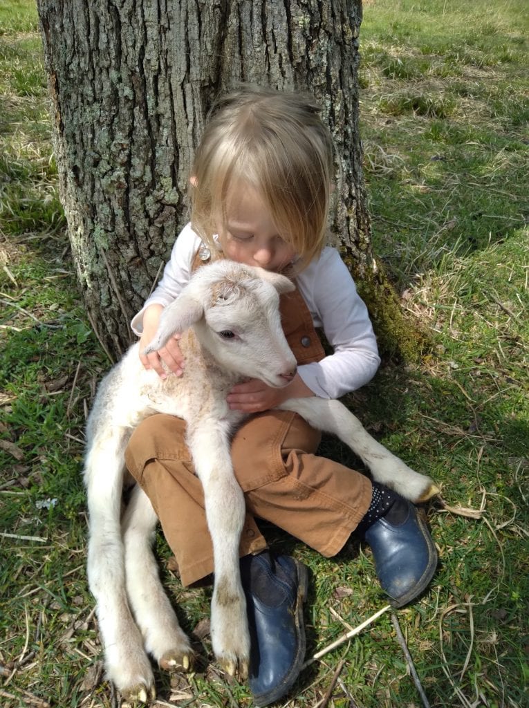 Ewe & Me Creamery Kid & Goat