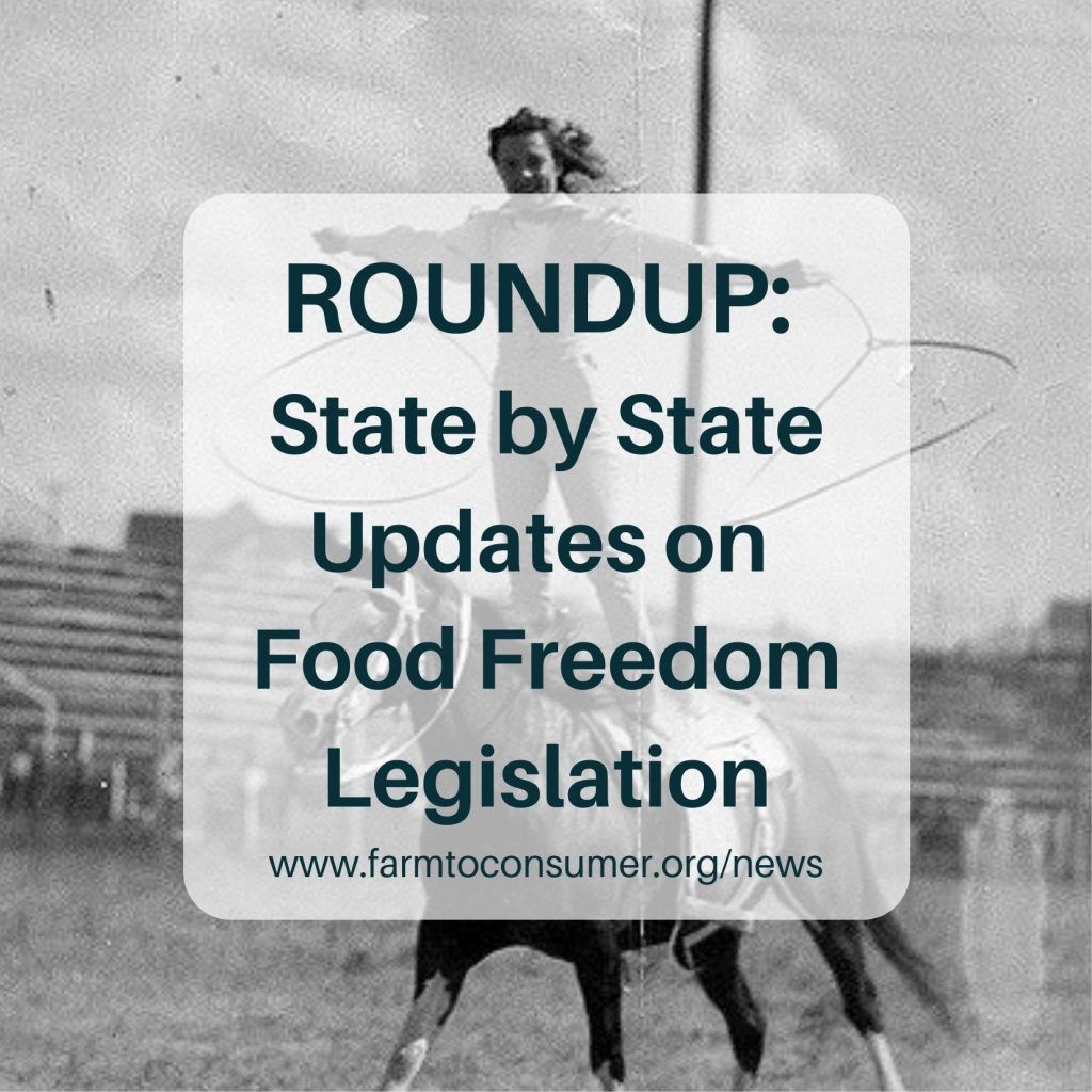 Food Freedom Roundup - Woman standing on horse with lasso