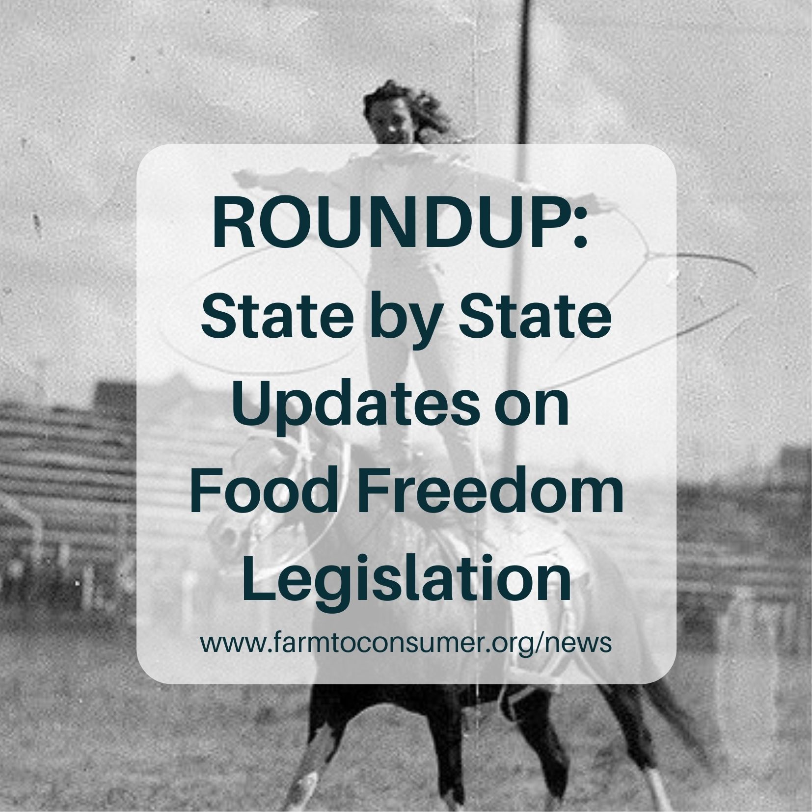 Food Freedom Legislation Roundup: Is Your State Moving Ahead?