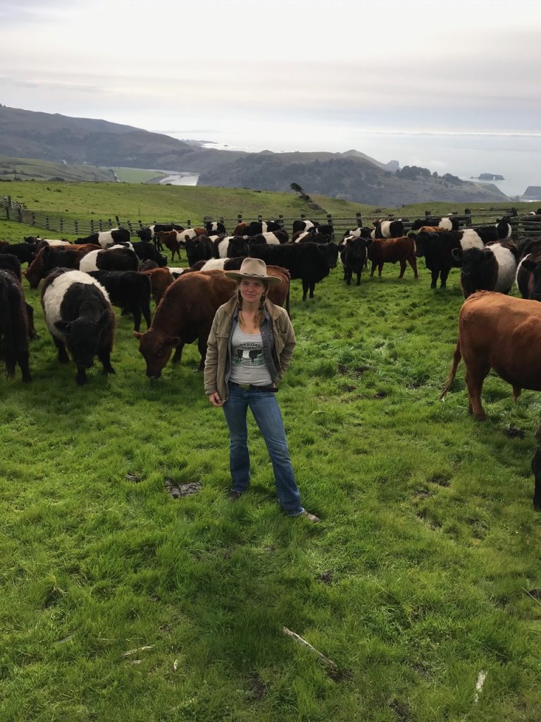 Doniga with cattle and ocean