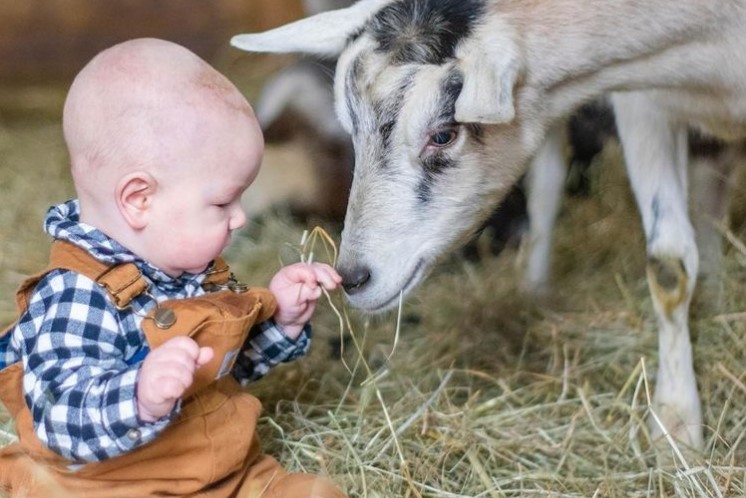 Baby and Goat