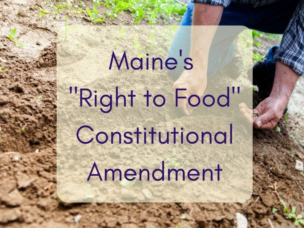Maine's Constitutional Amendment