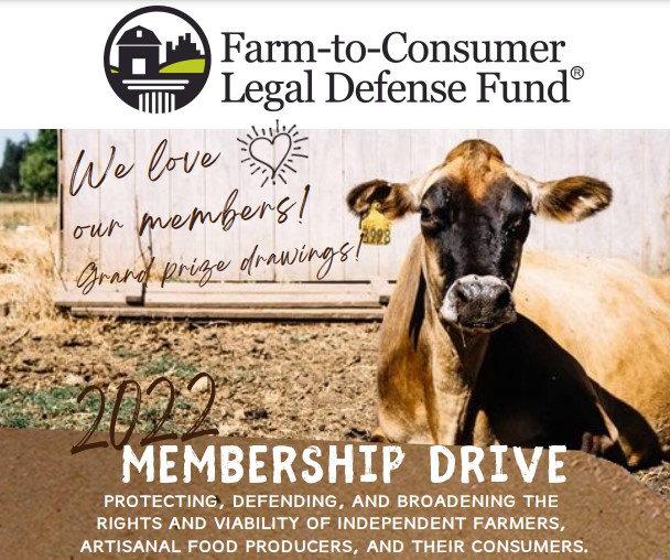 membership drive graphic with dairy cow