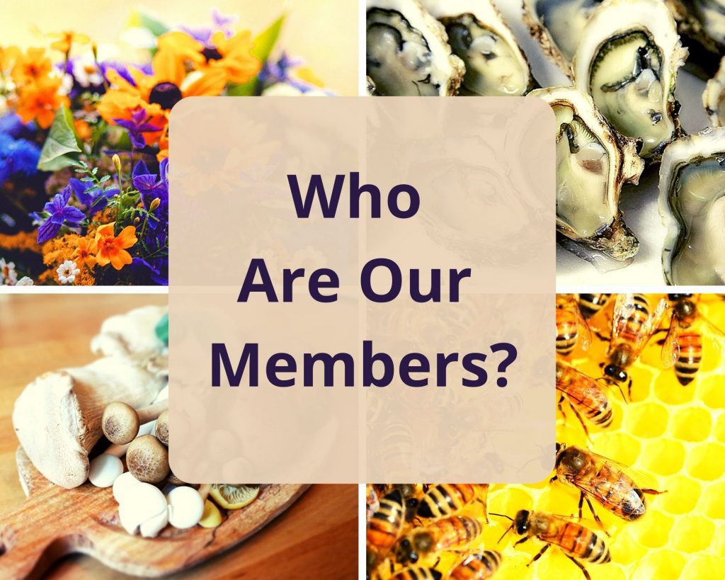Collage of Member types: flowers, oysters, mushrooms, bees
