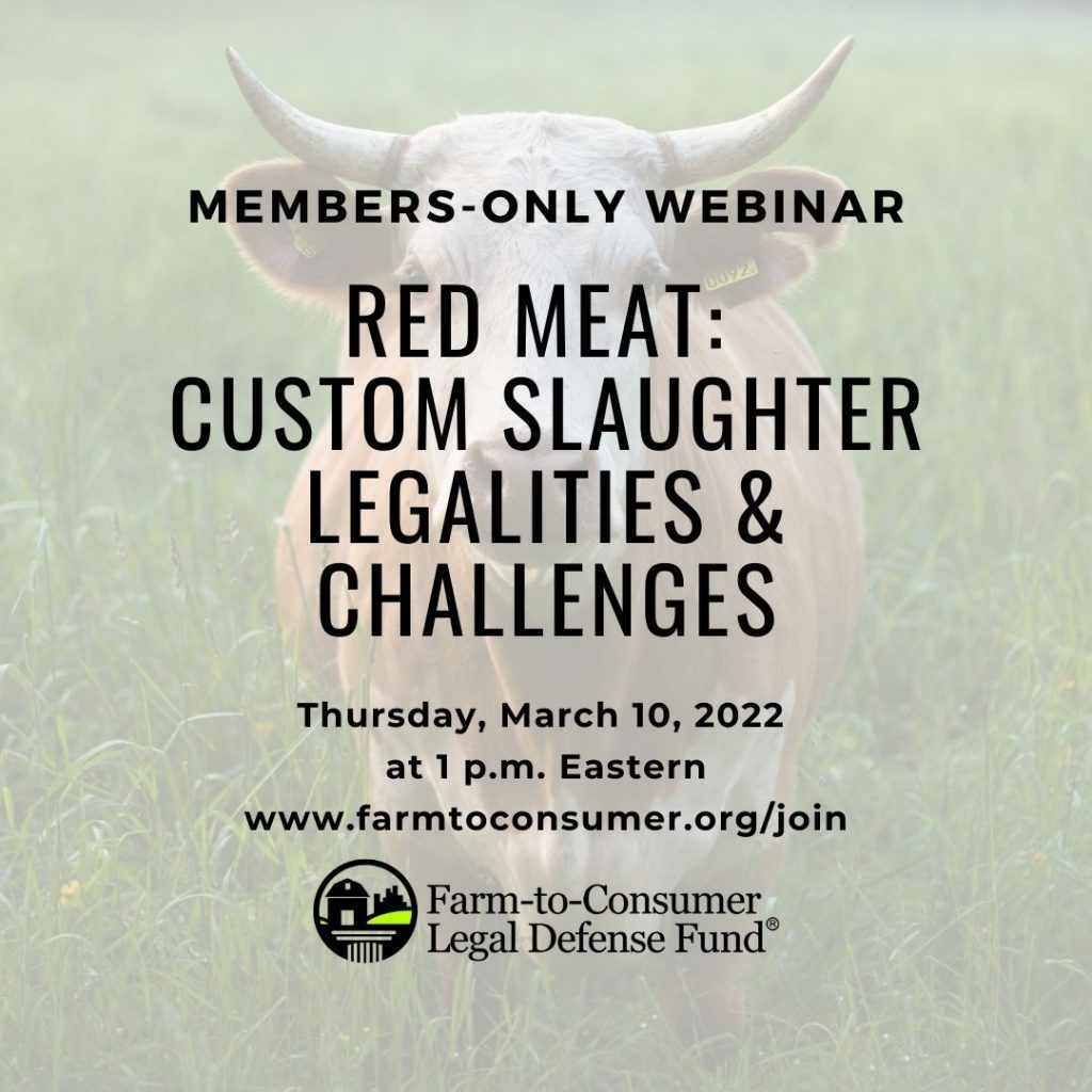Member Webinar on Red Meat - Cow with Horns