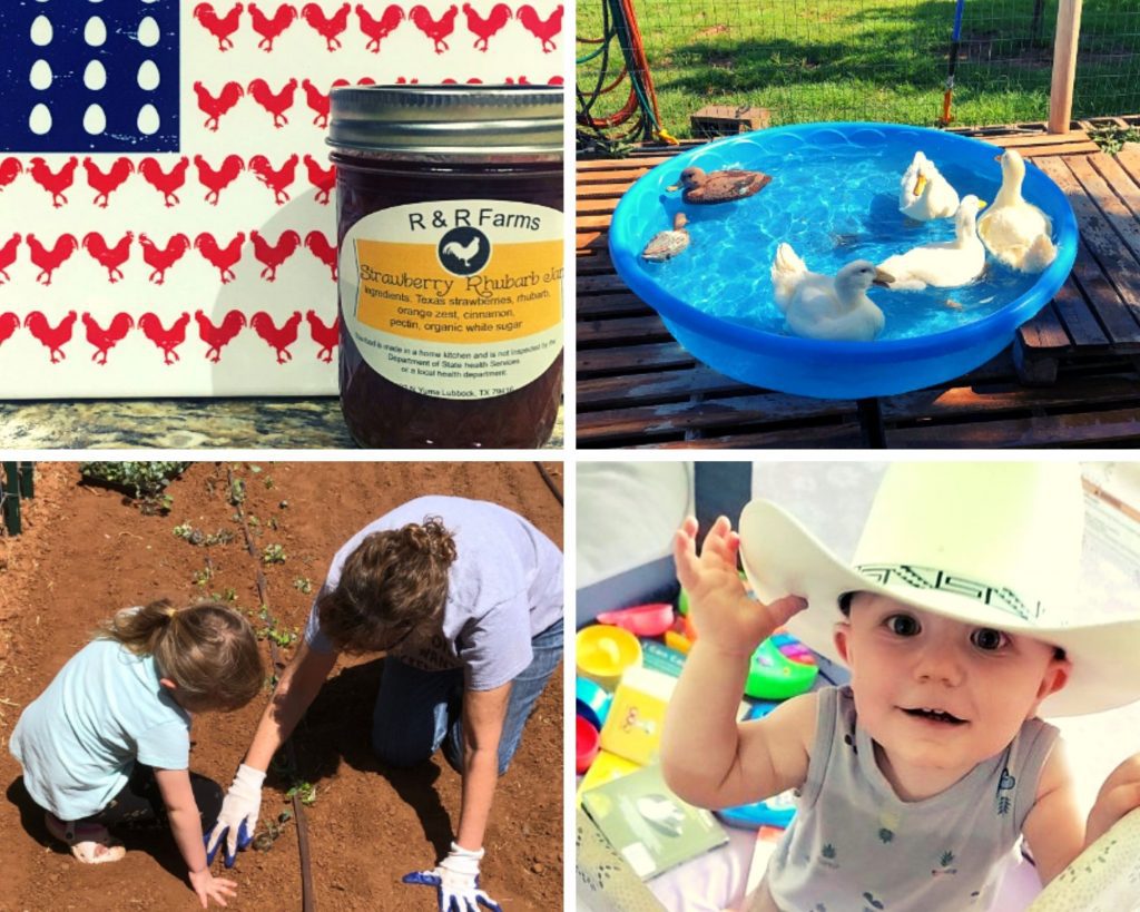 chicken American flag, planting veggies, ducks in a pool, baby cowboy