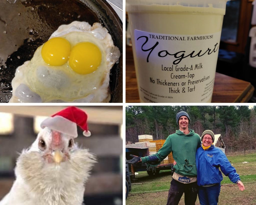 Double yolker, yogurt, chicken with Santa hat, Matt and Jerica Cadman