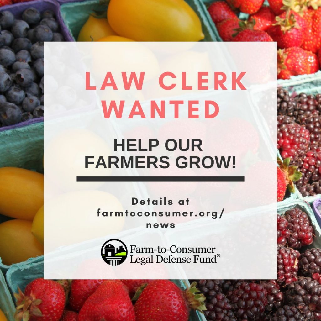 Law Clerk Wanted - Fruits Graphic