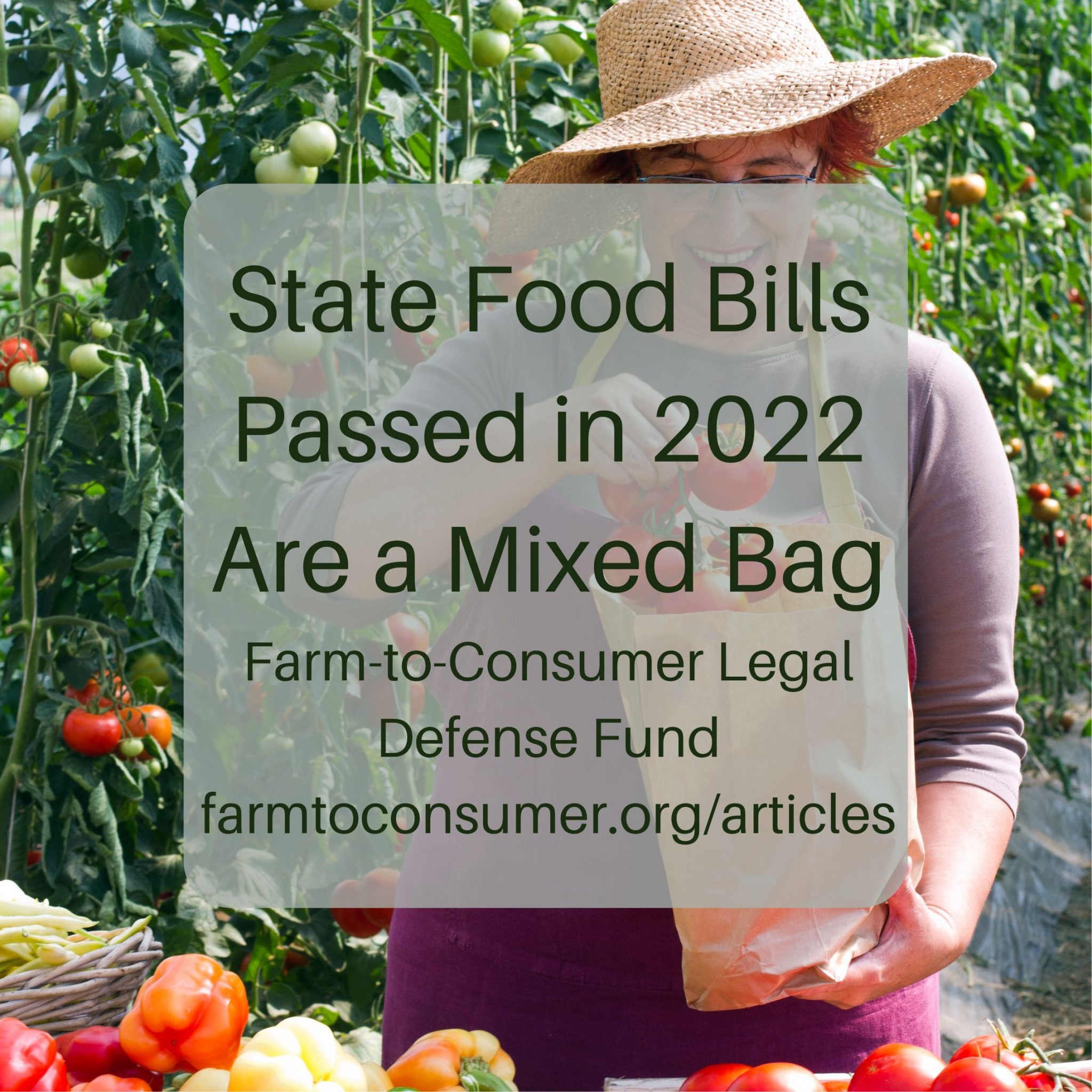 State Food and Food Safety Bills Passed in 2022 Are a Mixed Bag Farm