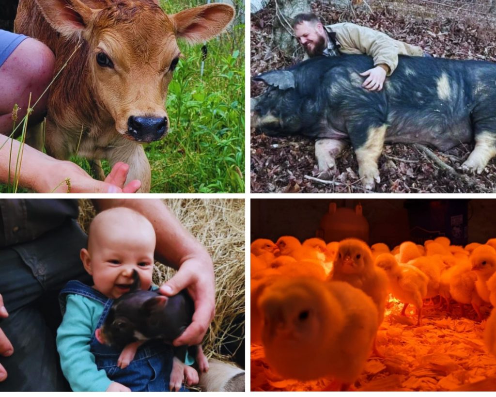 Race Family Farmstead Collage