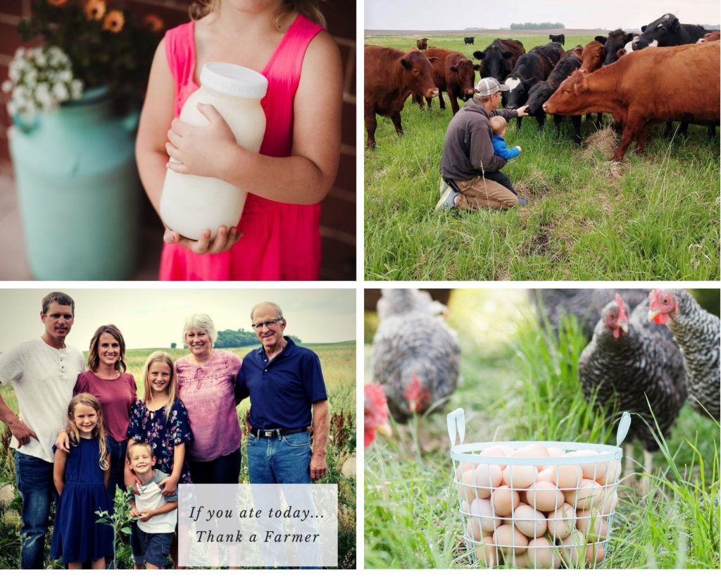 Nature's Pantry raw milk, cows, family photo, eggs